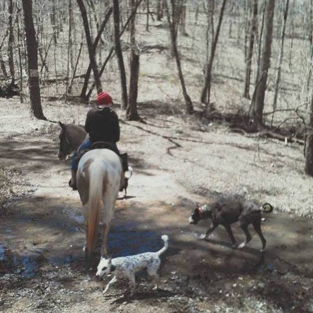 Meet your Posher, Morgan